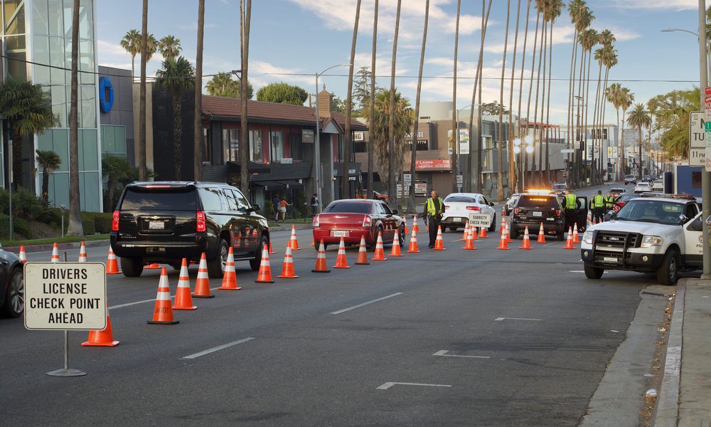 A DUI checkpoint in the late afternoon on a street lined with palm trees.